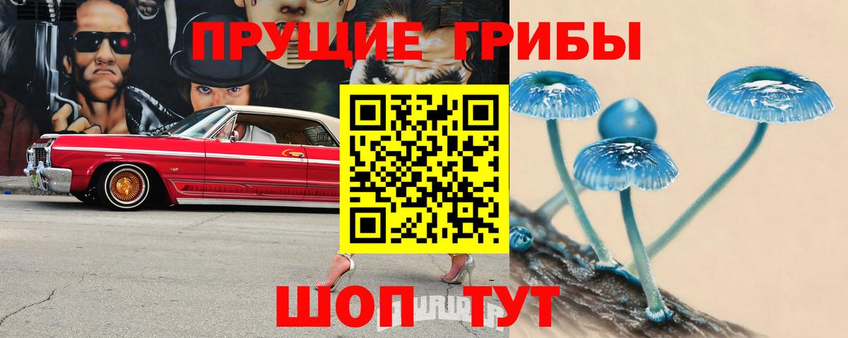 Бор  Галлюциногенные грибы прущие грибы  где продают   Псилоцибиновые грибы Psilocybine cubensis  Вход с VPN 